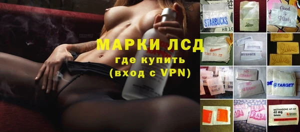 apvp Аркадак