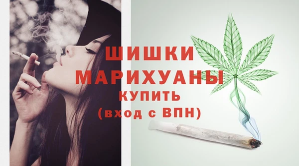 ПСИЛОЦИБИНОВЫЕ ГРИБЫ Сатка