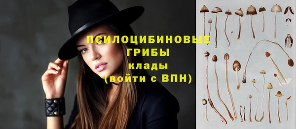 спиды Армянск
