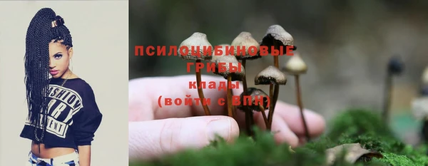 спиды Армянск
