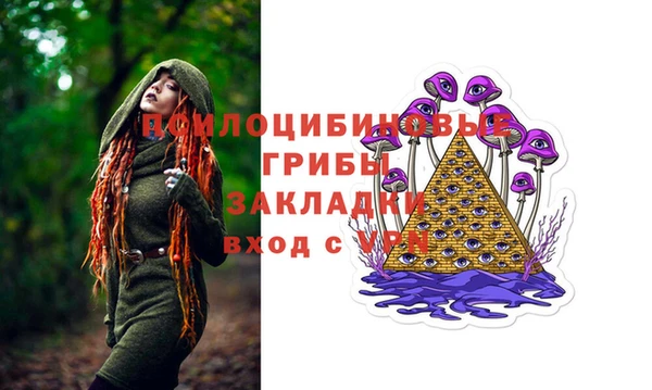 apvp Аркадак
